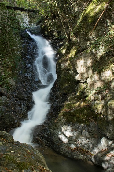 e0176993_07020242.jpg