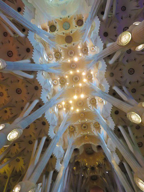 f0346196_19423683.jpg