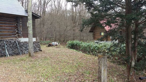 f0147602_22423693.jpg