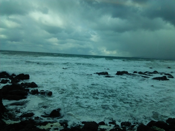 c0212604_174251.jpg