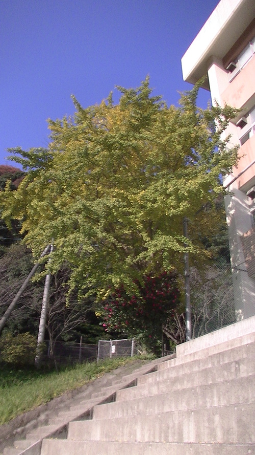 f0164104_1110521.jpg