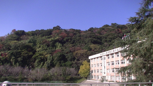 f0164104_1195661.jpg