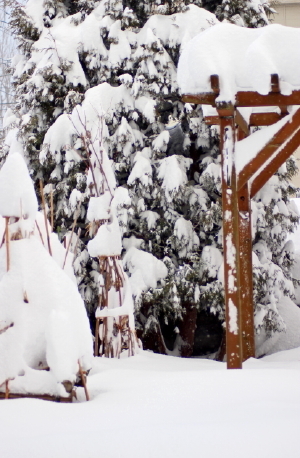 大雪です～！_f0041606_18021133.jpg