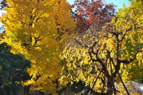 a0263109_19315145.jpg