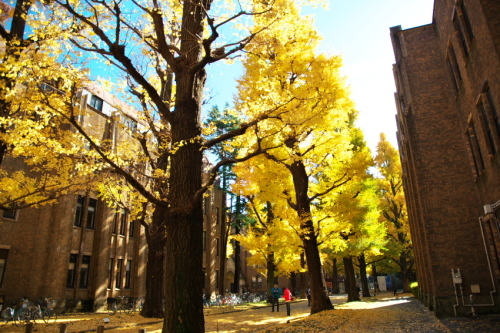 a0263109_19330533.jpg