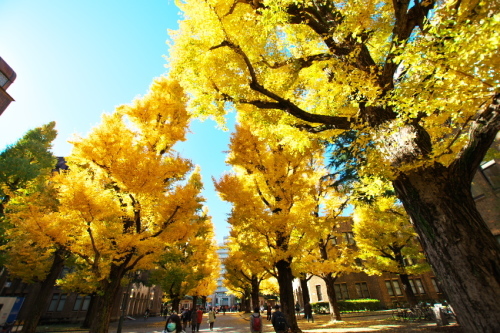 a0263109_19335868.jpg