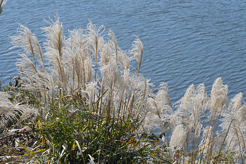 a0278809_12170612.jpg