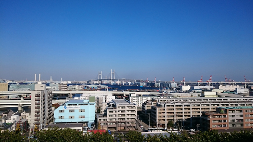 d0113613_1685456.jpg