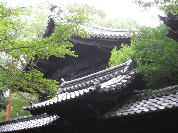 向日神社(むこうじんじゃ、向日市)_d0287413_14395195.jpg