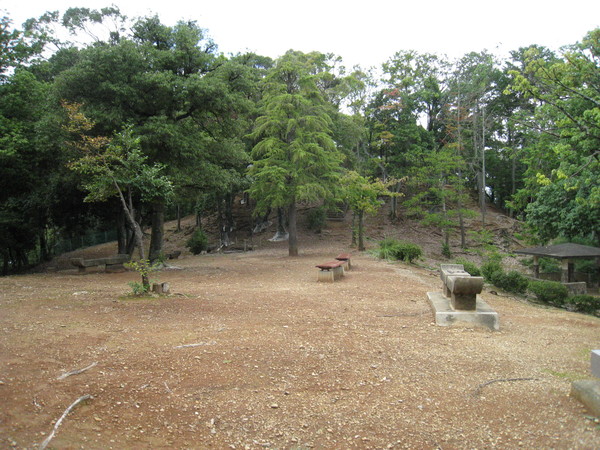 向日神社(むこうじんじゃ、向日市)_d0287413_14413542.jpg