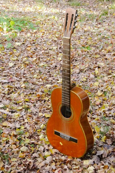 Montano guitar No.新58（実用不向きの為、オブジェに） - メルカリ