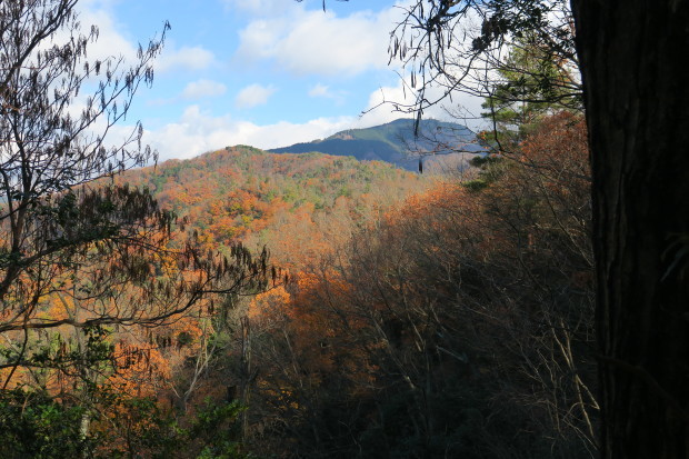 京都トレイル　銀閣寺～比叡山_d0103314_23251593.jpg