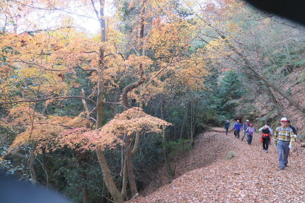 京都トレイル　銀閣寺～比叡山_d0103314_23262655.jpg