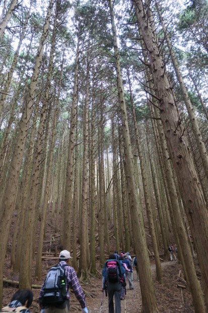 京都トレイル　銀閣寺～比叡山_d0103314_23573682.jpg