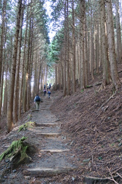 京都トレイル　銀閣寺～比叡山_d0103314_23580244.jpg