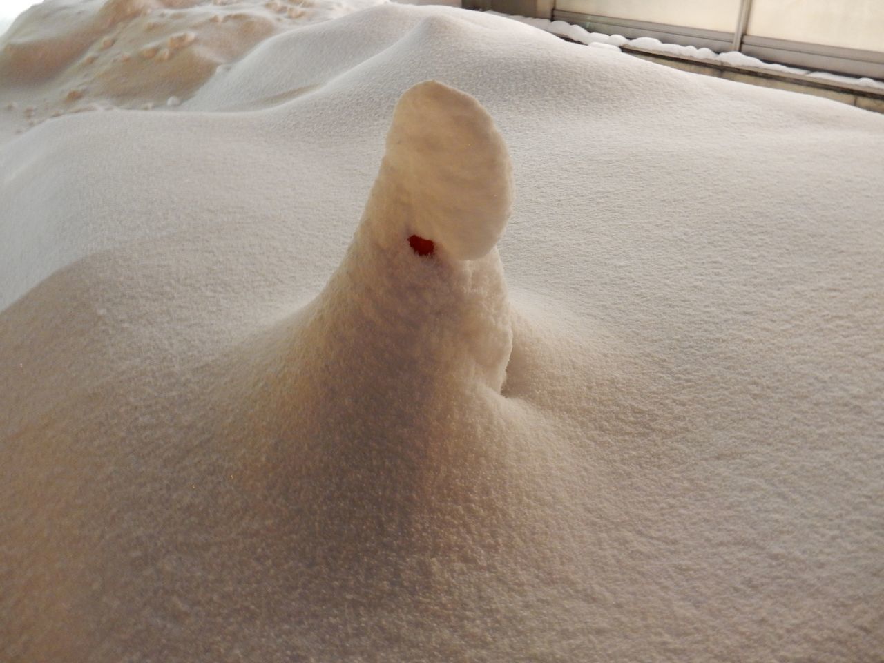 帰ったら大雪_c0025115_21265760.jpg