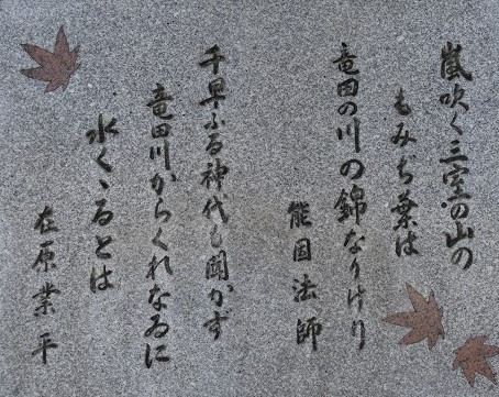 f0000521_832503.jpg