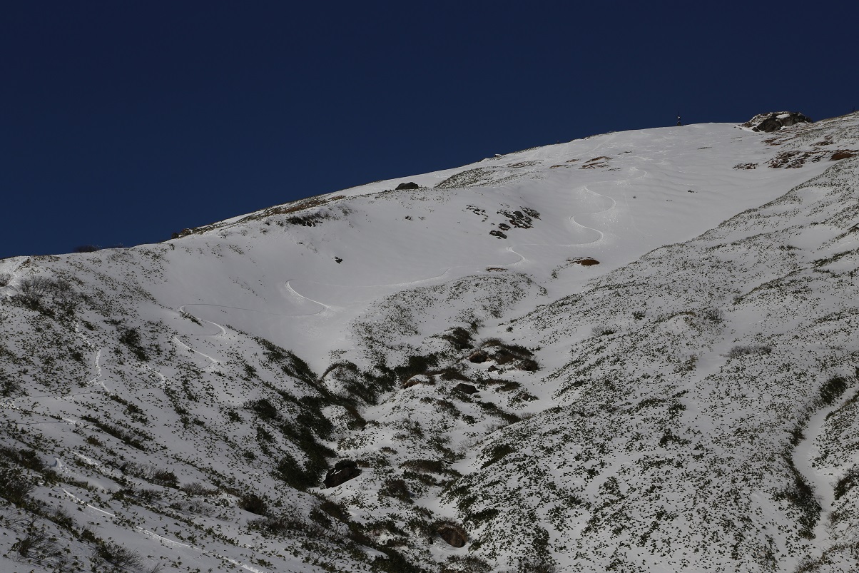 b0062024_747687.jpg