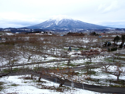 b0147224_20375837.jpg