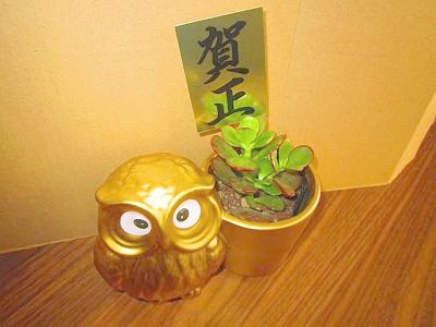 d0065324_13361369.jpg