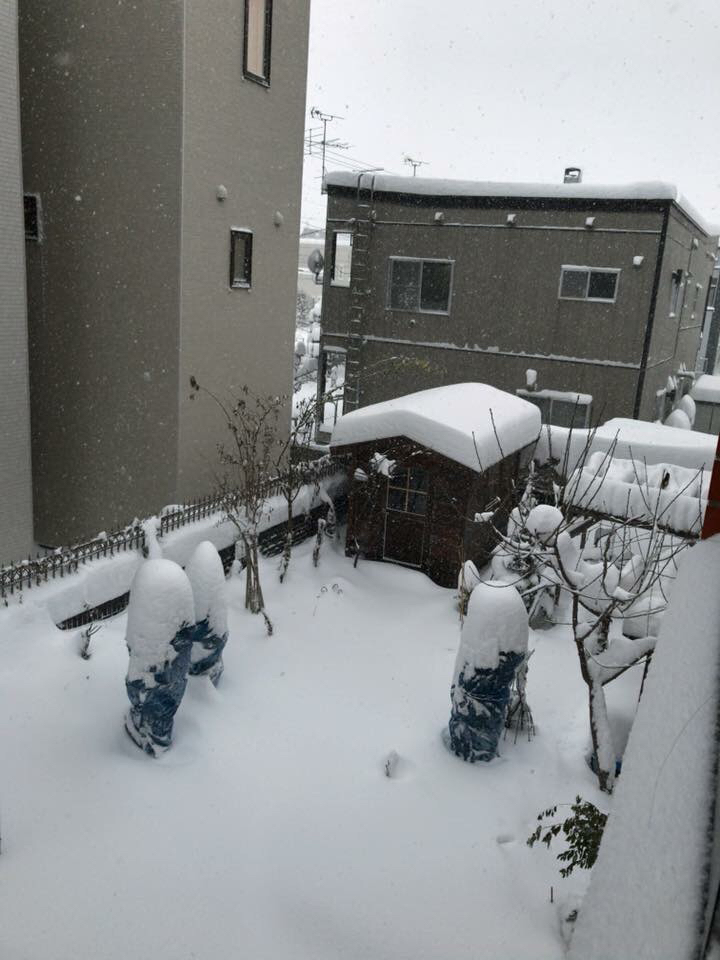 f0170524_10393308.jpg