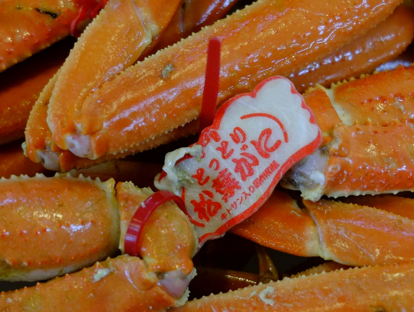 「鳥取・大山町御来屋　松葉ガニを食べた地魚料理 恵比須」_a0000029_1212883.jpg
