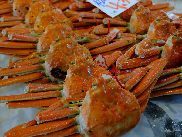 「鳥取・大山町御来屋　松葉ガニを食べた地魚料理 恵比須」_a0000029_12138.jpg