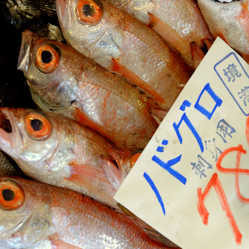 「鳥取・大山町御来屋　松葉ガニを食べた地魚料理 恵比須」_a0000029_122322.jpg