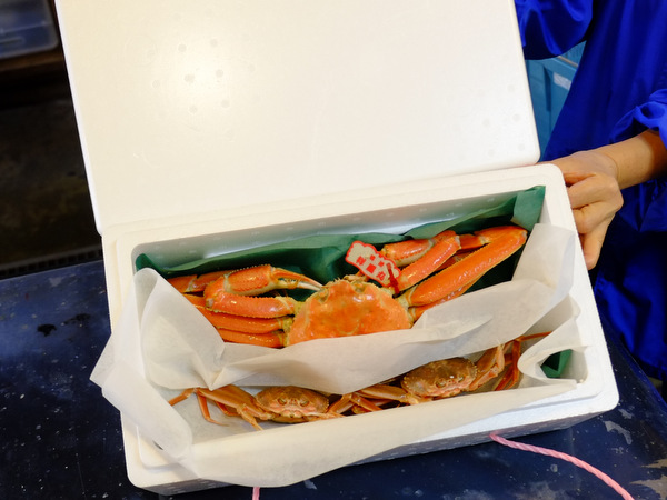 「鳥取・大山町御来屋　松葉ガニを食べた地魚料理 恵比須」_a0000029_123164.jpg