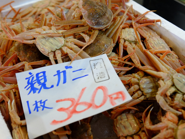 「鳥取・大山町御来屋　松葉ガニを食べた地魚料理 恵比須」_a0000029_1233786.jpg