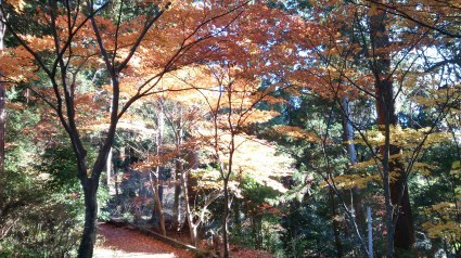 【161210】筑波山登山報告　～そういえば、筑波山で日の出登山ってしていなかったね～_c0108034_16591928.jpg