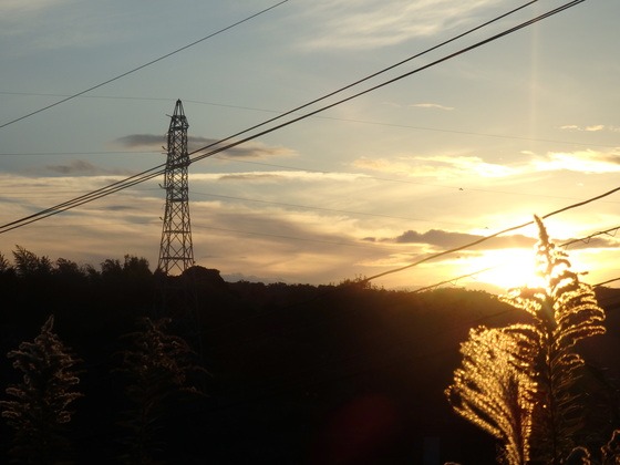 a0054240_2036598.jpg