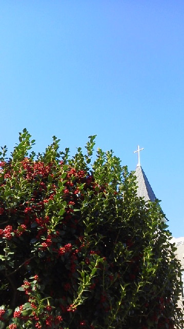 e0228240_19093079.jpg