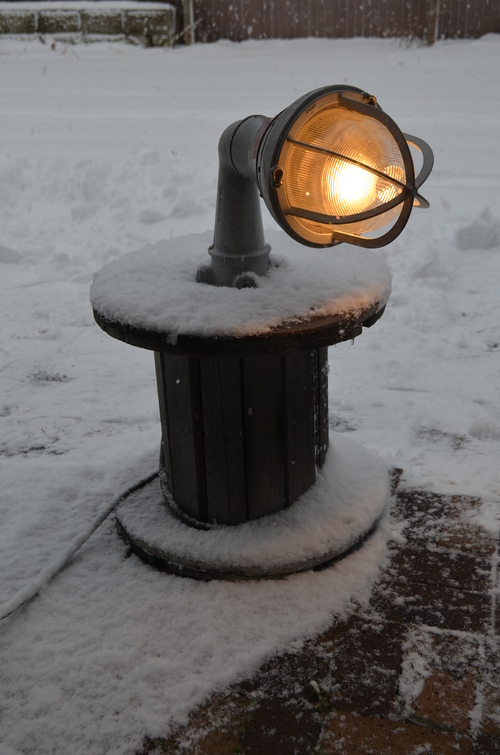 雪の中も_b0207642_16241585.jpg