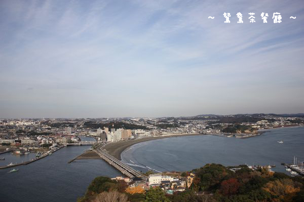 江の猫に会ってきました～湘南江の島_a0132659_08013351.jpg