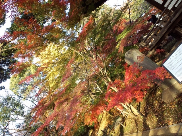 f0367170_13423326.jpg