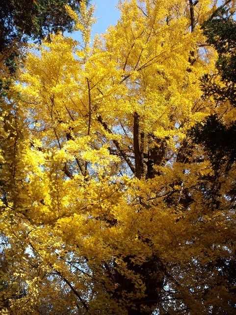 f0367170_13464716.jpg