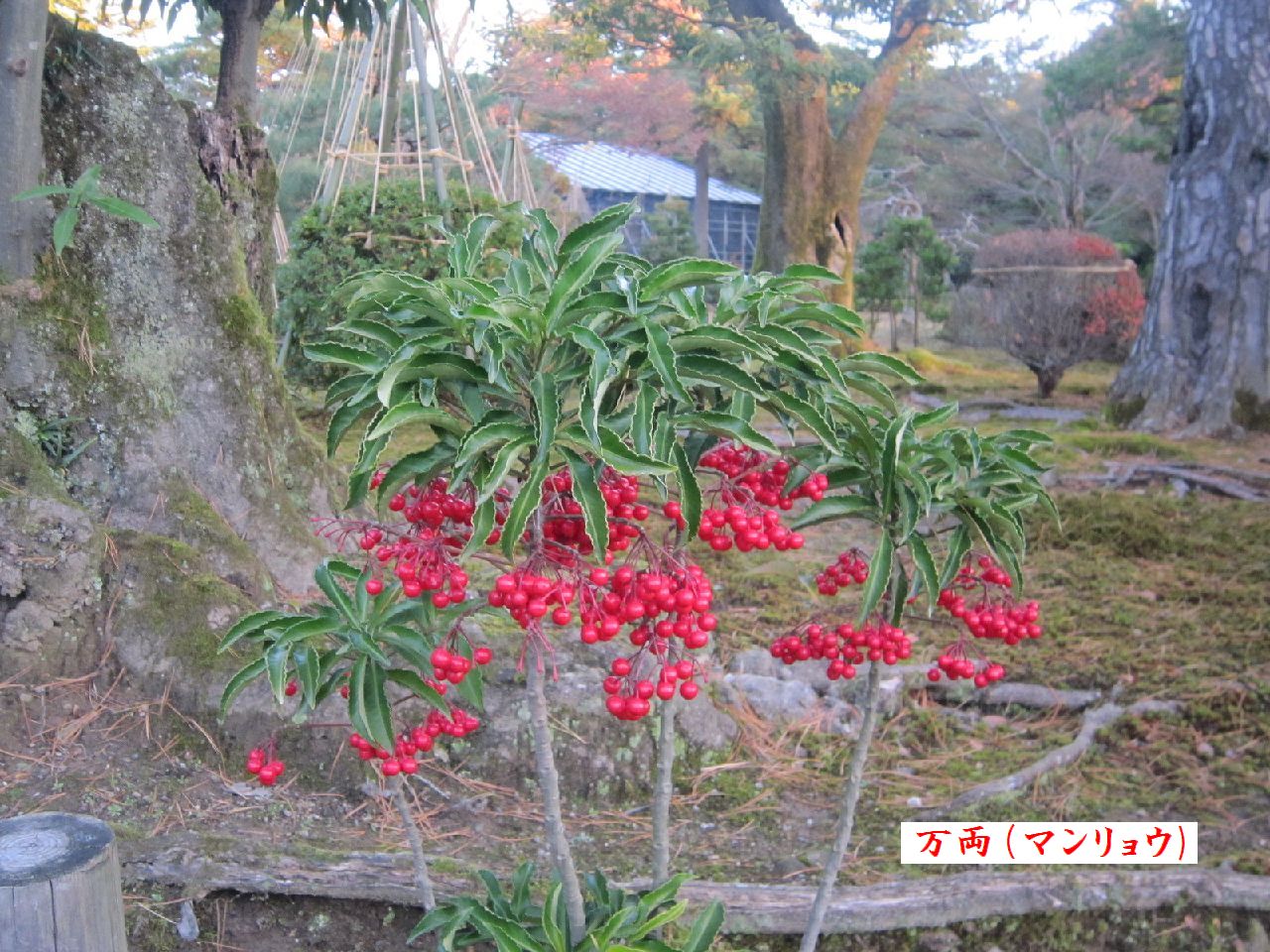 a0207574_9351128.jpg