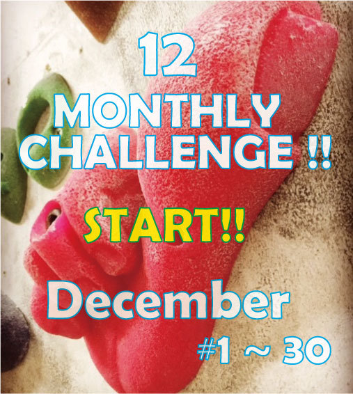 MONTHLY CHALLENGE 12月_d0246875_10165518.jpg
