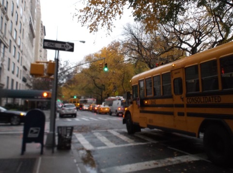 d0115985_19344327.jpeg