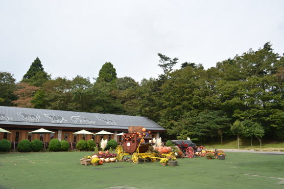 a0186689_13401979.jpg