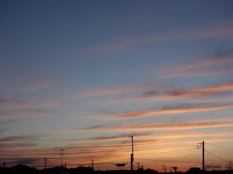 d0021491_21164175.jpg