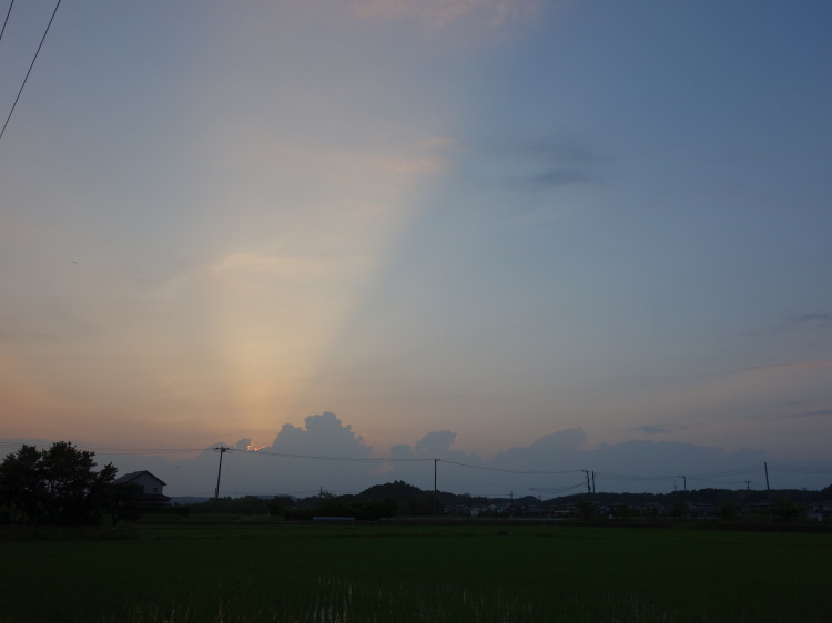d0021491_21165150.jpg
