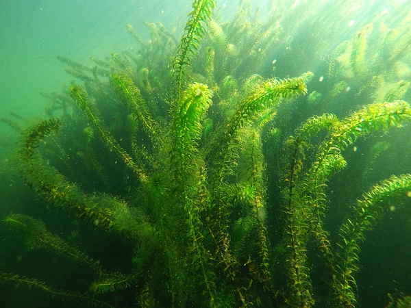 c0097095_1731560.jpg