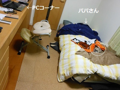 f0372998_20381194.jpg