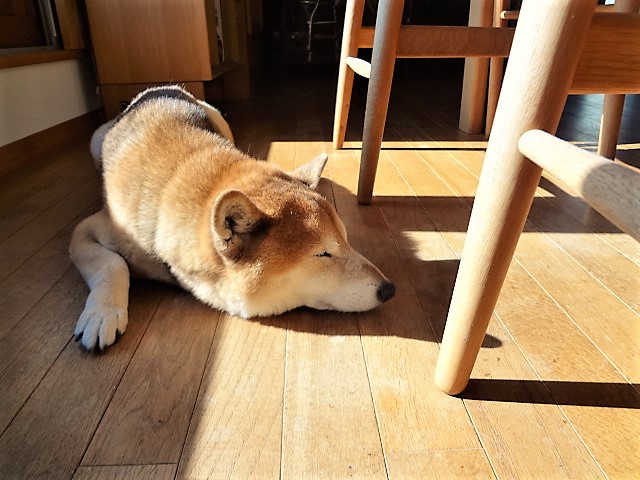 c0221299_10393784.jpg