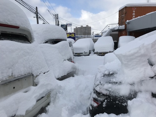 マサブロヽ(^o^)丿大雪ですが、TOMMY本店!2台のご成約!!ランクル、ハマー、アルファード_b0127002_19445654.jpg