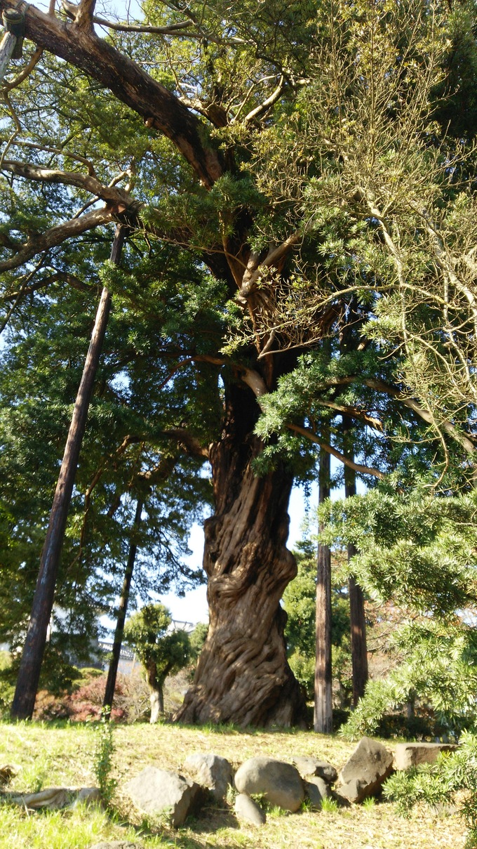 c0074407_11171056.jpg