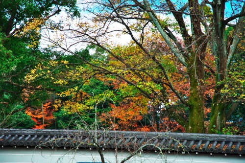 a0263109_09062513.jpg