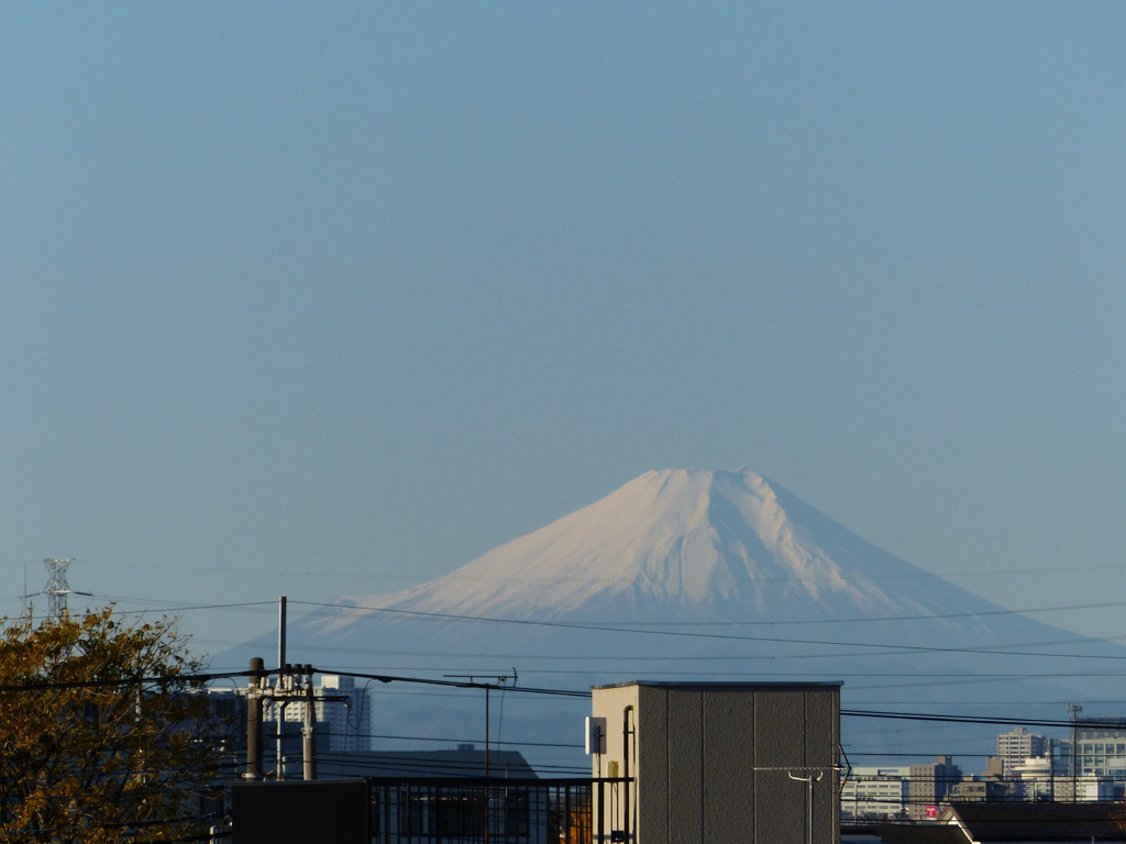 氷川神社十日市_f0296312_13254655.jpg